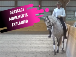dressage movement tutorial