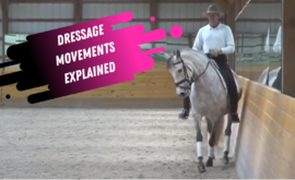dressage movement tutorial