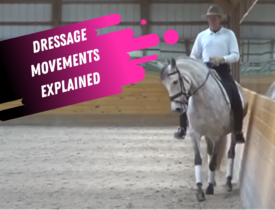 dressage movement tutorial