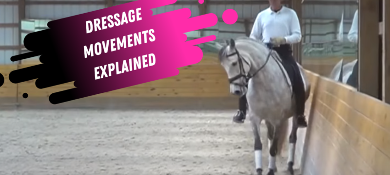 What are the movements in dressage