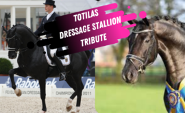 Copy of Copy of Copy of Amsterdam Thumb (10)