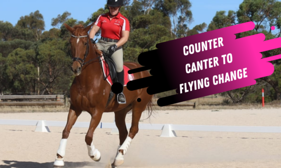 Copy of Copy of Copy of Amsterdam Thumb (37)