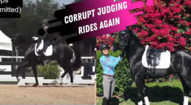 Corrupt Dressage Judging Karen Pavic