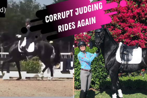 Corrupt Dressage Judging Karen Pavic