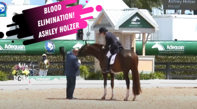 Ashley Holzer Dressage Eliminated For Blood