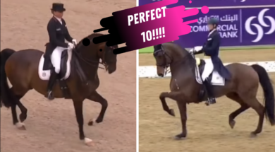 The Perfect 10 Dressage