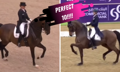The Perfect 10 Dressage