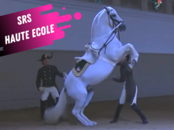 spanish riding school haute ecole