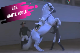 spanish riding school haute ecole