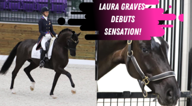 Laura Graves dressage Sensation hw