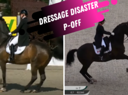 Dressage disaster