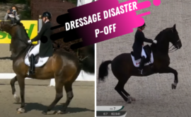 Dressage disaster