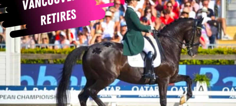 judy reynolds dressage