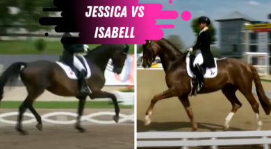 Olympic Dressage Trials