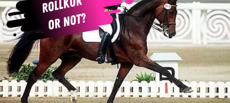 Nicole Uphoff Dressage