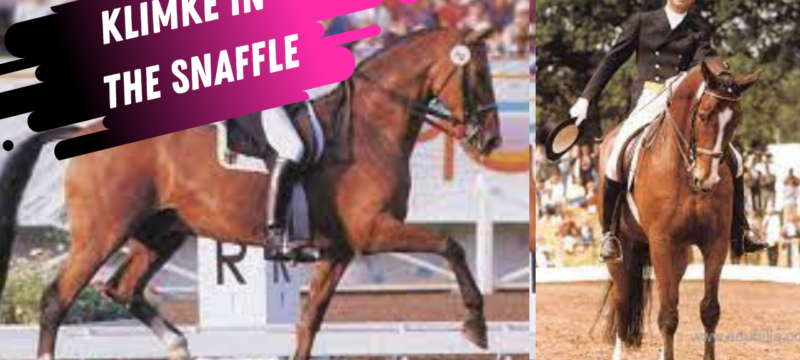 Dr Reiner Klimke Dressage