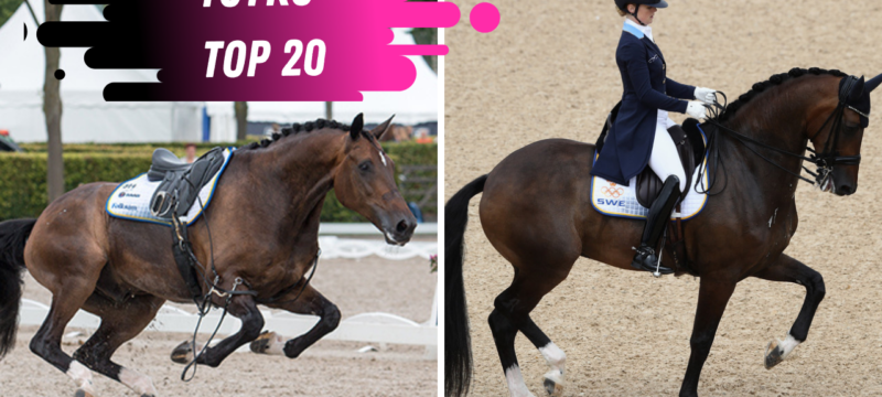 Juliette Ramel Dressage