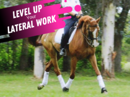 Dressage Exercises For Lateral Work