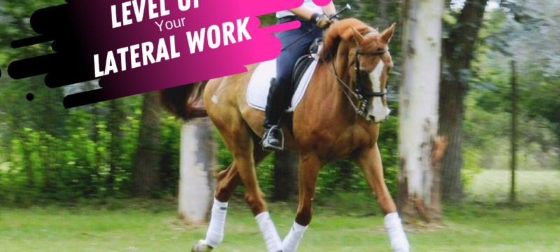 Dressage Exercises For Lateral Work